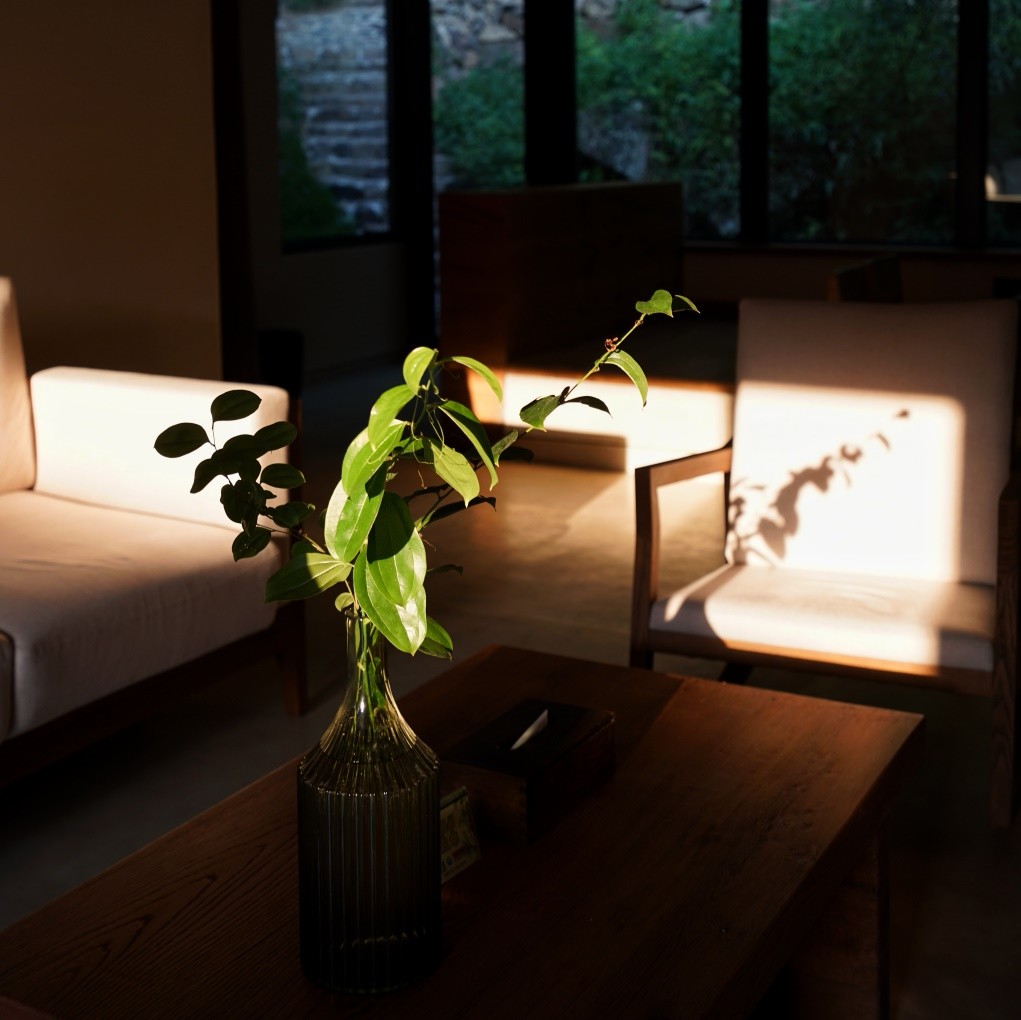 莫干山·三秋美宿，一日不見三秋盼兮