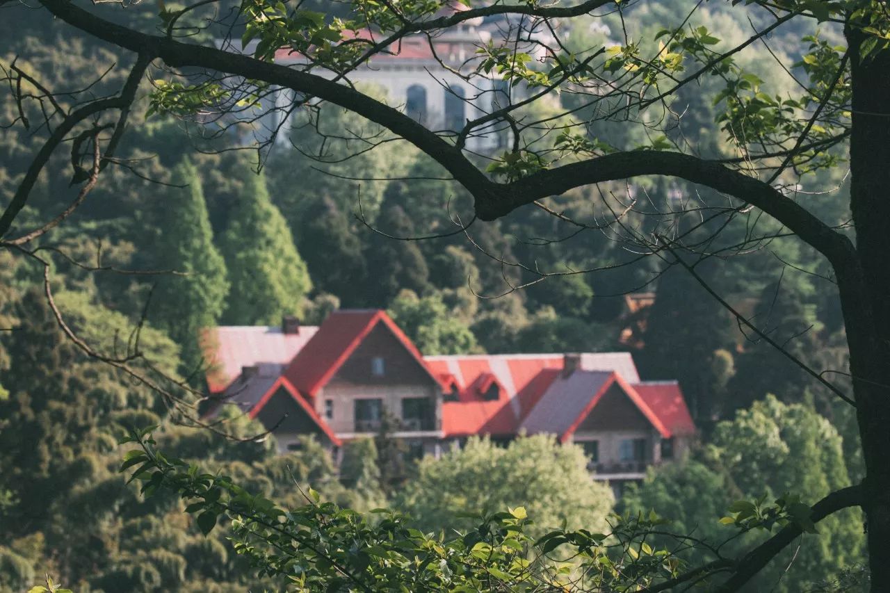 莫干山·三秋美宿，一日不見三秋盼兮