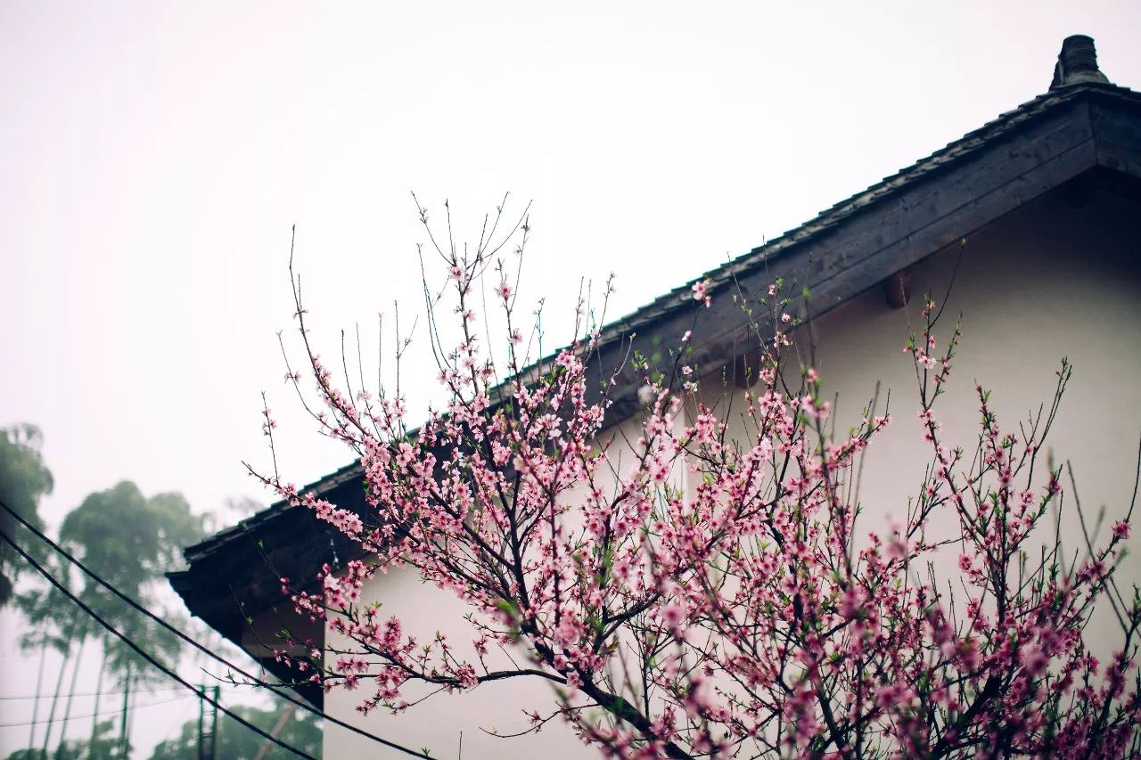 莫干山·三秋美宿，一日不見三秋盼兮