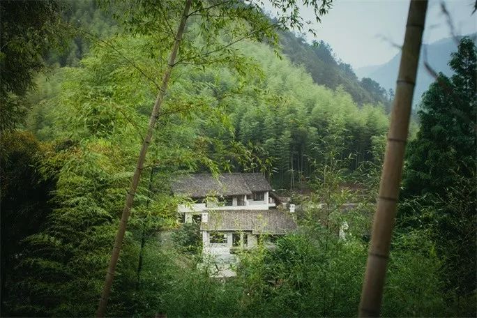 莫干山·三秋美宿，一日不見(jiàn)三秋盼兮