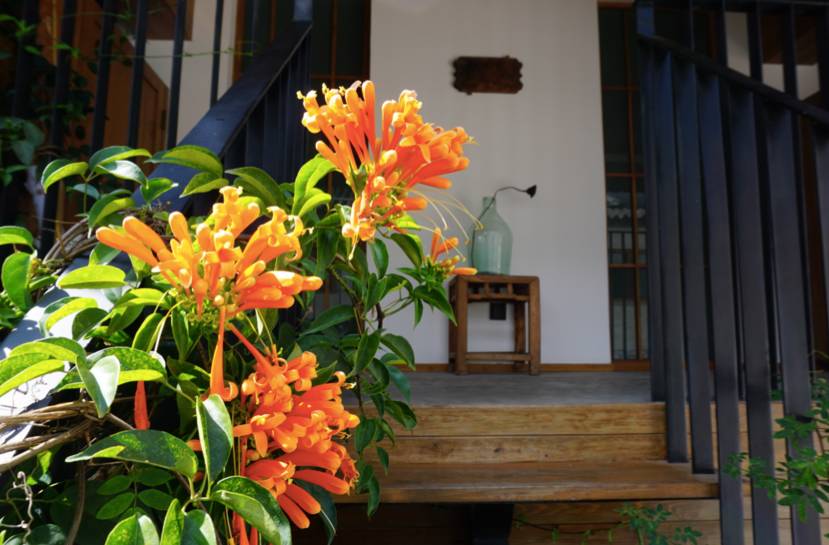 大理古城·果念，按照自己喜歡的方式活著