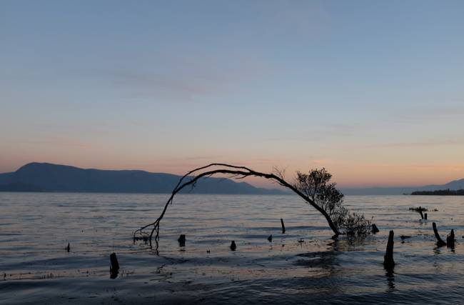 大理古城·果念，按照自己喜歡的方式活著