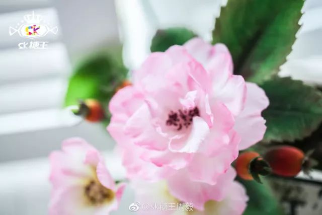 一代糖王，技術(shù)之路沒有終點不忘初心砥礪前行