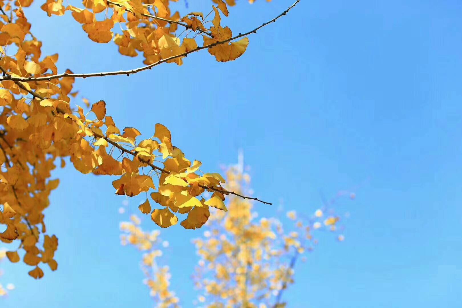 大理洱?！w心，歸心看海煙雨江南