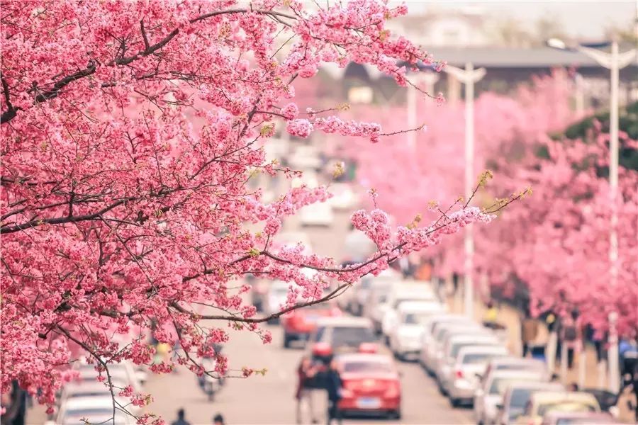 大理洱海·歸心，歸心看海煙雨江南