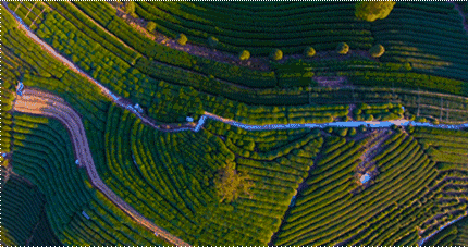 杭州·長(zhǎng)鏡頭，一所電影時(shí)光主題民宿