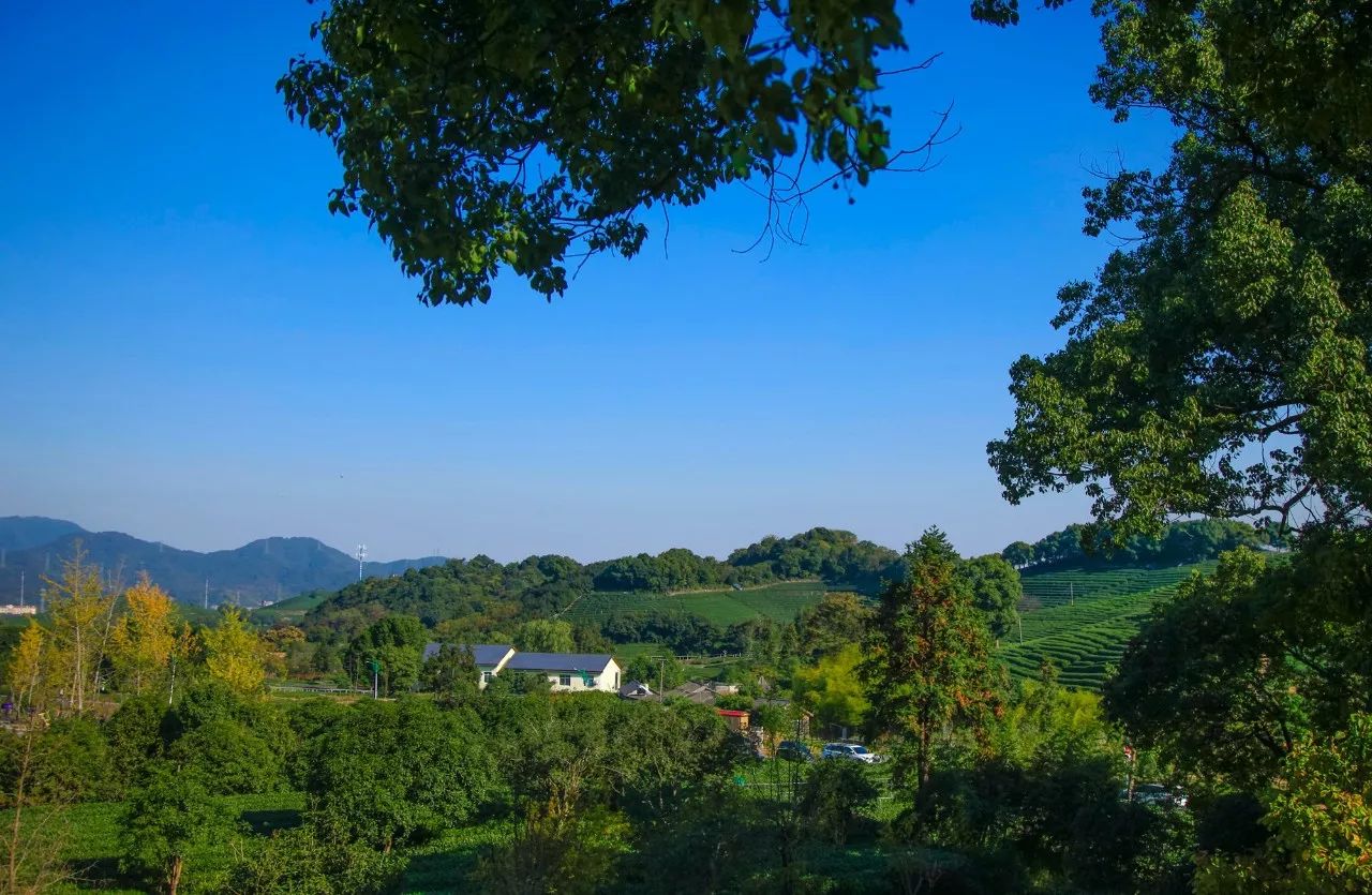 杭州·長(zhǎng)鏡頭，一所電影時(shí)光主題民宿