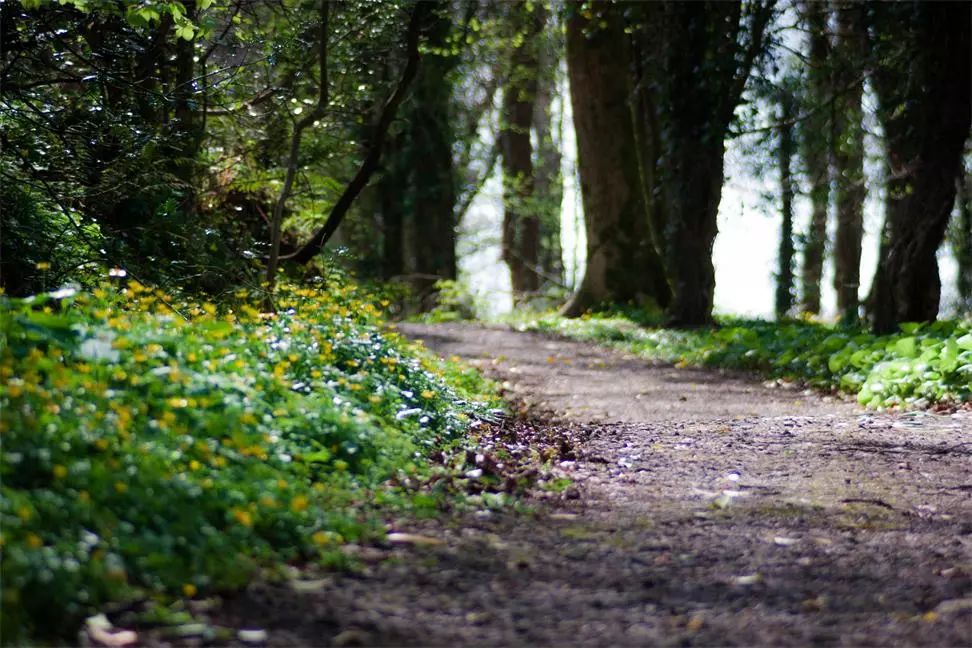 杭州·長(zhǎng)鏡頭，一所電影時(shí)光主題民宿