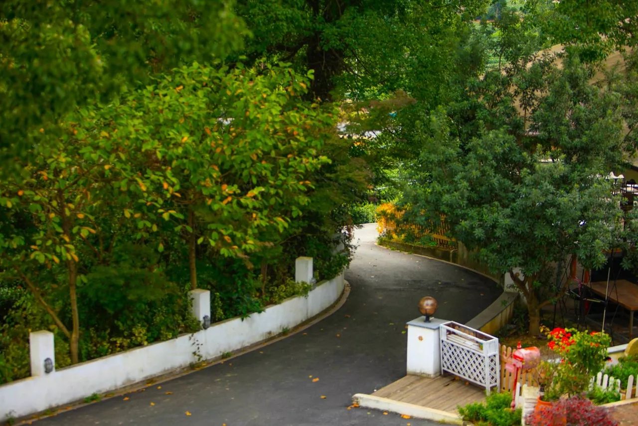 杭州·長鏡頭，一所電影時(shí)光主題民宿