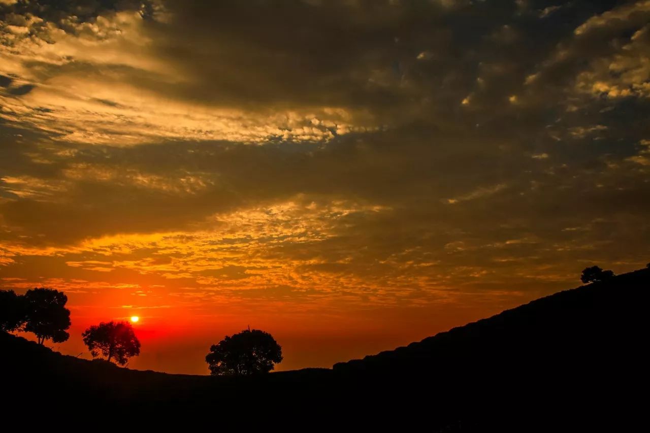 杭州·長鏡頭，一所電影時(shí)光主題民宿