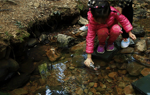 杭州·長(zhǎng)鏡頭，一所電影時(shí)光主題民宿