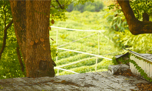 杭州·長鏡頭，一所電影時光主題民宿