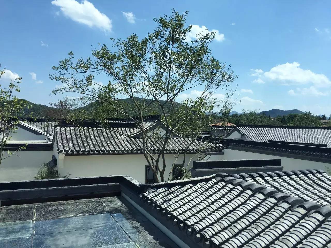 10所綠城·中式宅院，何必羨“西風(fēng)”中式乃最美