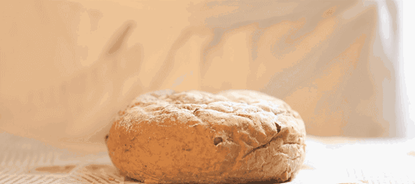 零搟健康面包店，講究不將就