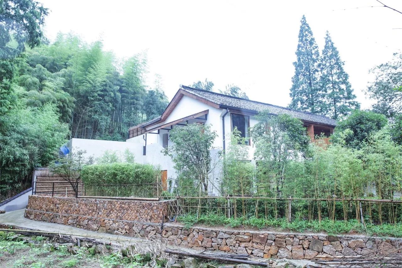 莫干山·西璞，睡進(jìn)梵高的畫里