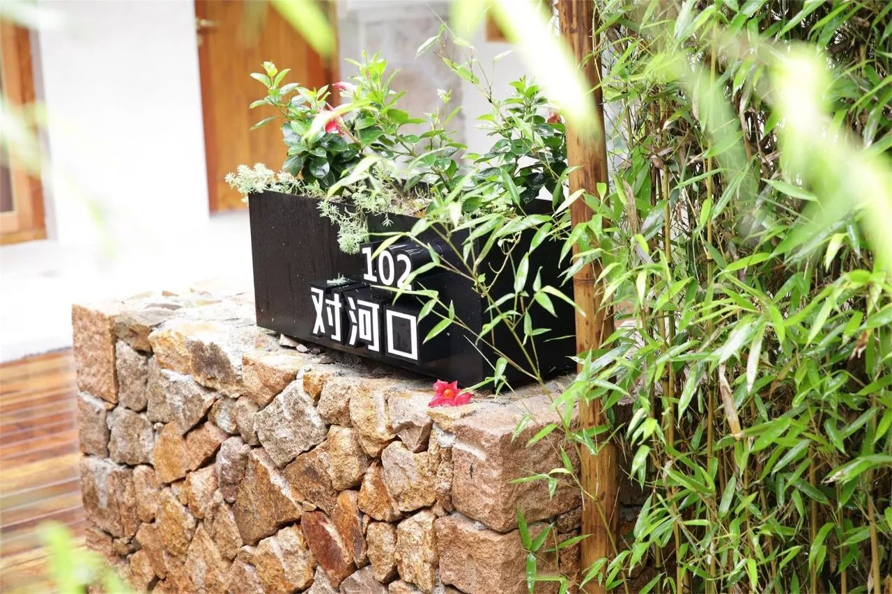 莫干山·西璞，睡進(jìn)梵高的畫里