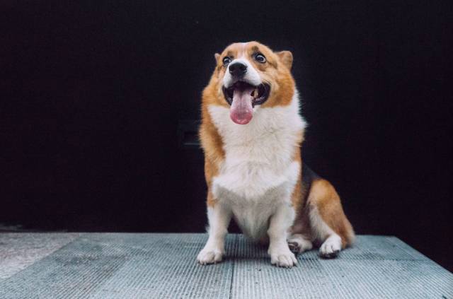 杭州·簡象，一種別樣的復(fù)古情調(diào)