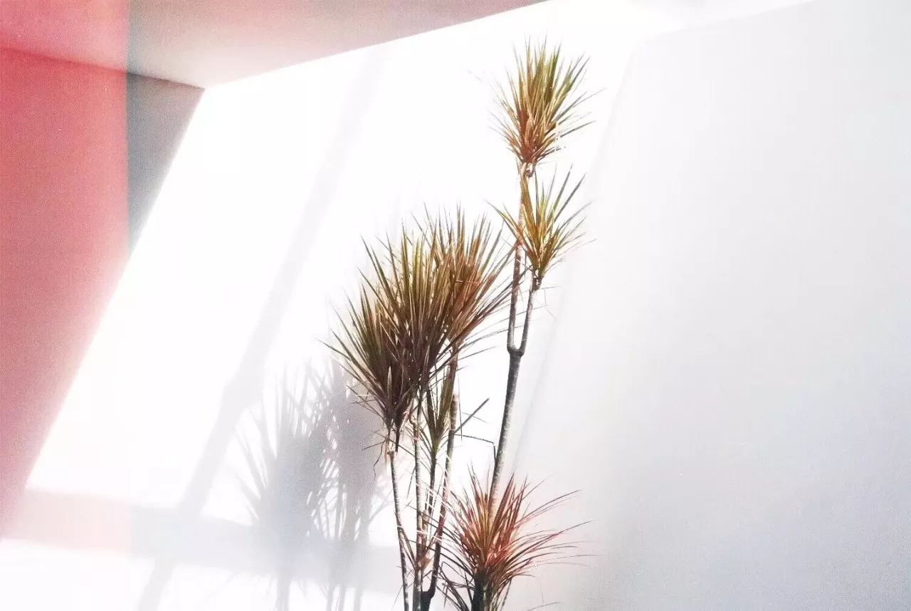 杭州·簡(jiǎn)象，一種別樣的復(fù)古情調(diào)