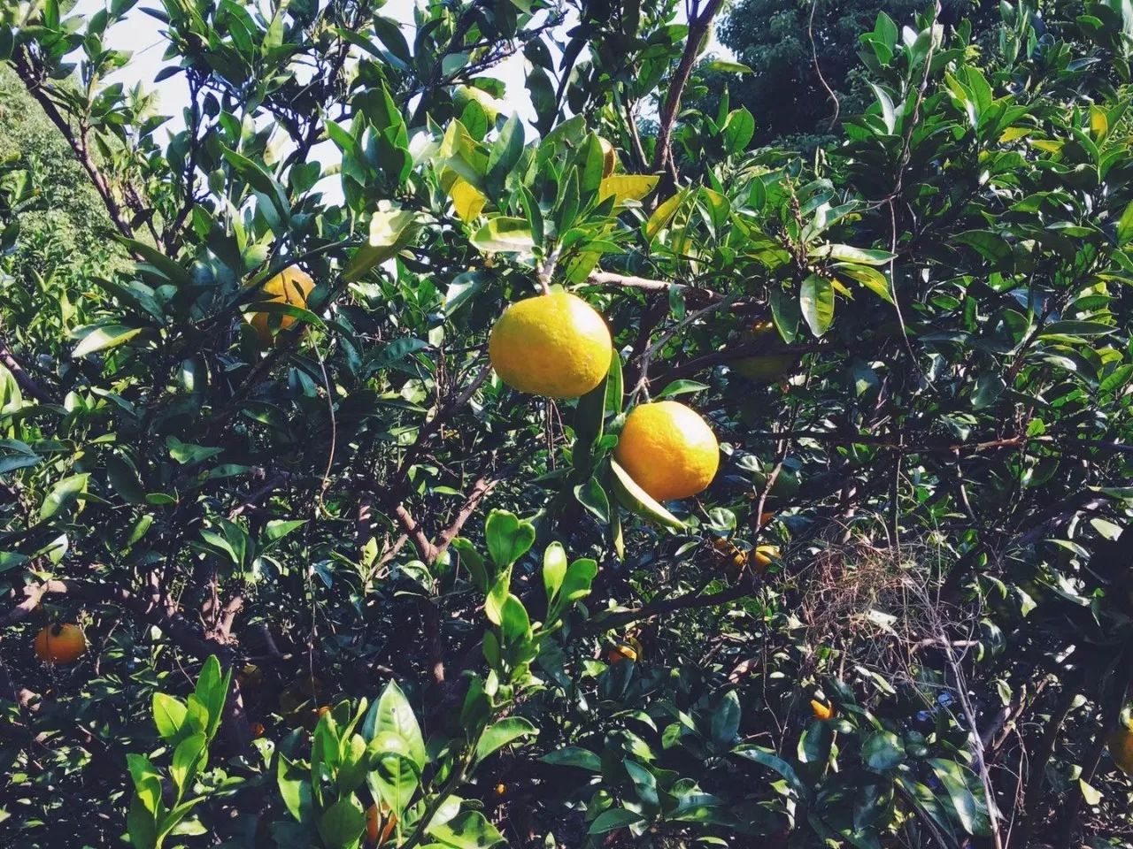 浙江海寧·名力朗豪酒店，十八般武藝帶你上天