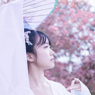 粉紫小清新帶團扇傘頭像，唯美古風真人頭像