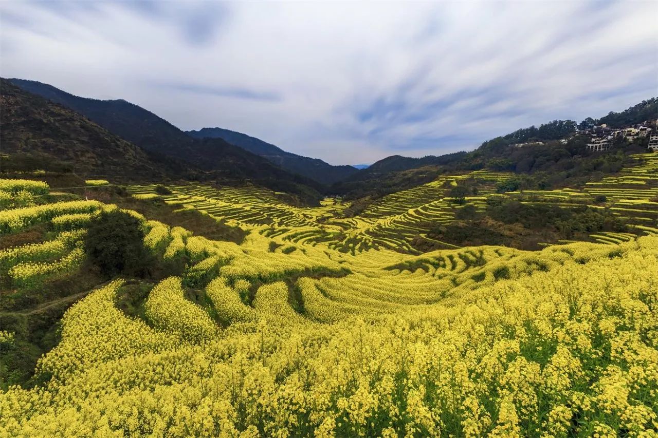 婺源·物上，平淡溫柔別有滋味