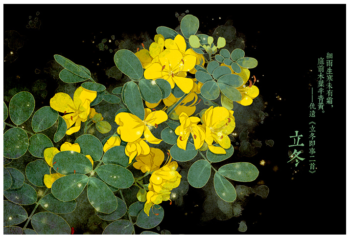 唯美的24節(jié)氣花卉插畫，品味古老的詩之清韻