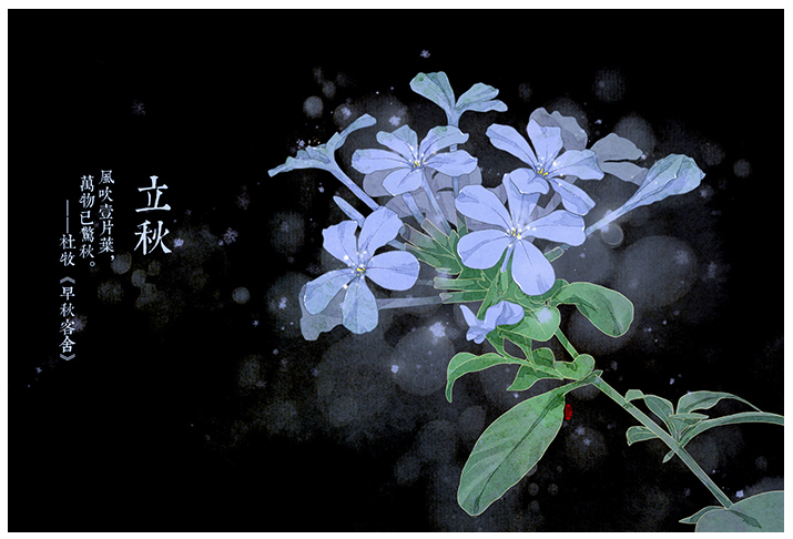 唯美的24節(jié)氣花卉插畫，品味古老的詩之清韻
