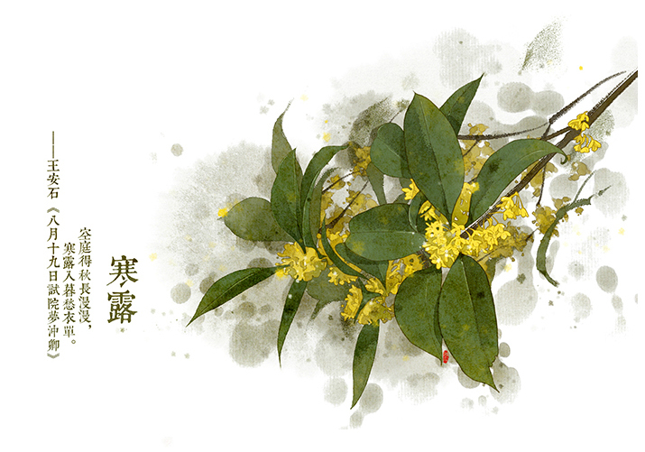 唯美的24節(jié)氣花卉插畫，品味古老的詩之清韻