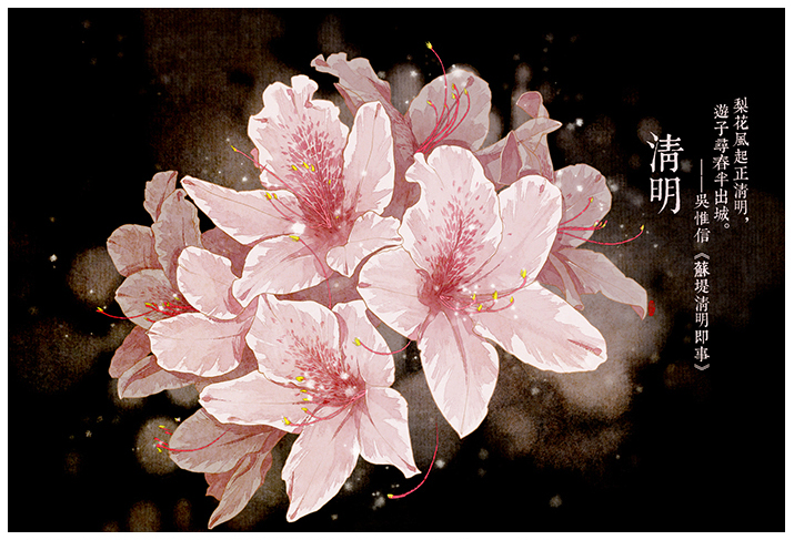 唯美的24節(jié)氣花卉插畫，品味古老的詩之清韻