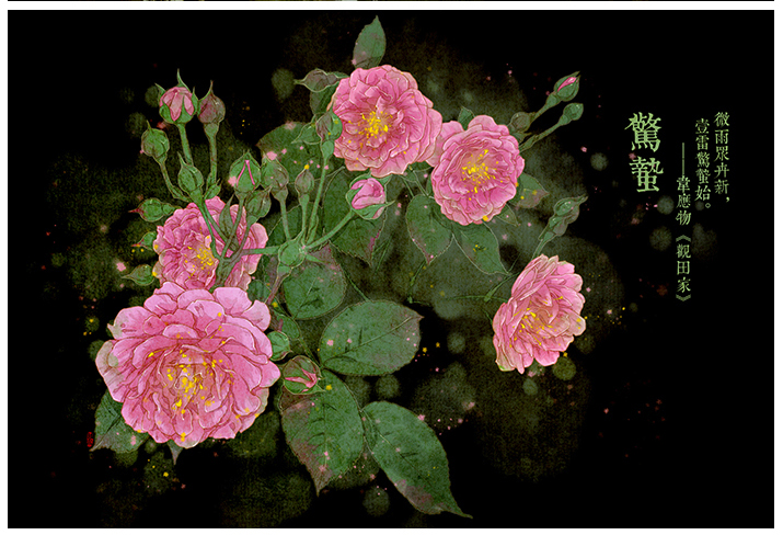 唯美的24節(jié)氣花卉插畫，品味古老的詩之清韻