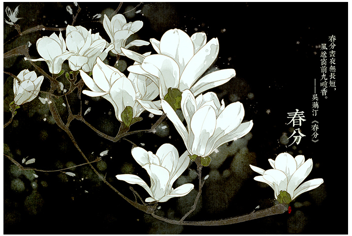 唯美的24節(jié)氣花卉插畫，品味古老的詩之清韻