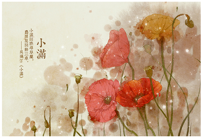 唯美的24節(jié)氣花卉插畫，品味古老的詩之清韻