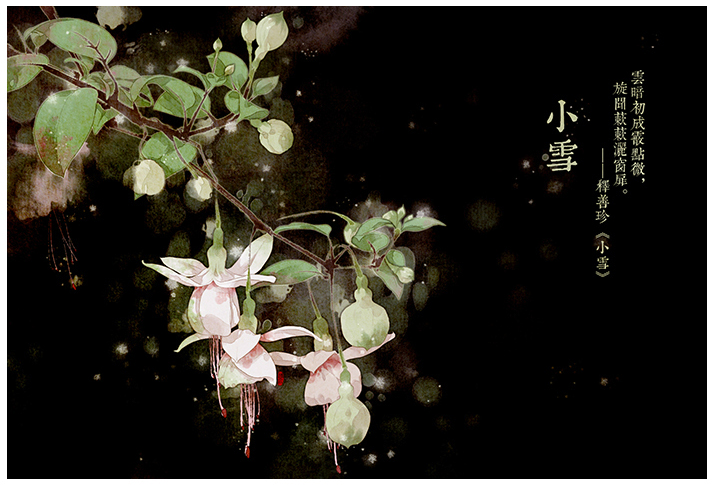 唯美的24節(jié)氣花卉插畫，品味古老的詩之清韻