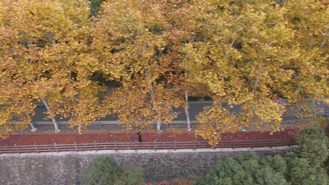 桐廬·流云，古村也有了云的靈動(dòng)氣息