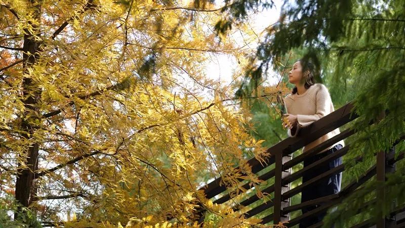 蘇州·萬伊，拾起漫長歲月里的時(shí)光遺珠