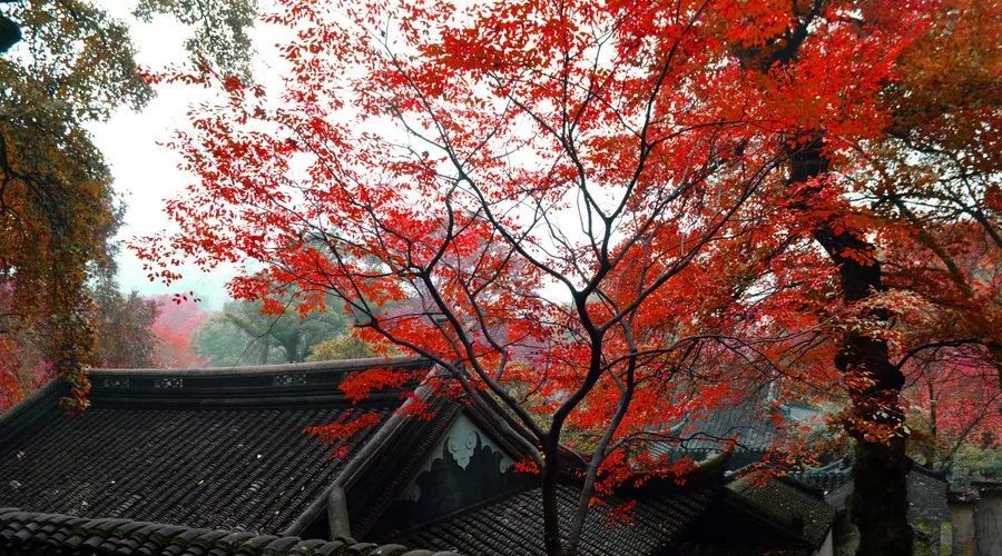 蘇州·萬伊，拾起漫長歲月里的時(shí)光遺珠