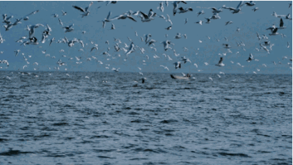 大理·無字號，背靠蒼山面朝洱海虛度時(shí)光