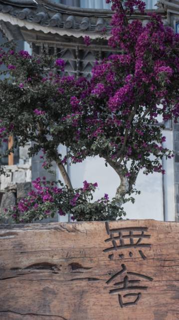 大理·無字號，背靠蒼山面朝洱海虛度時(shí)光