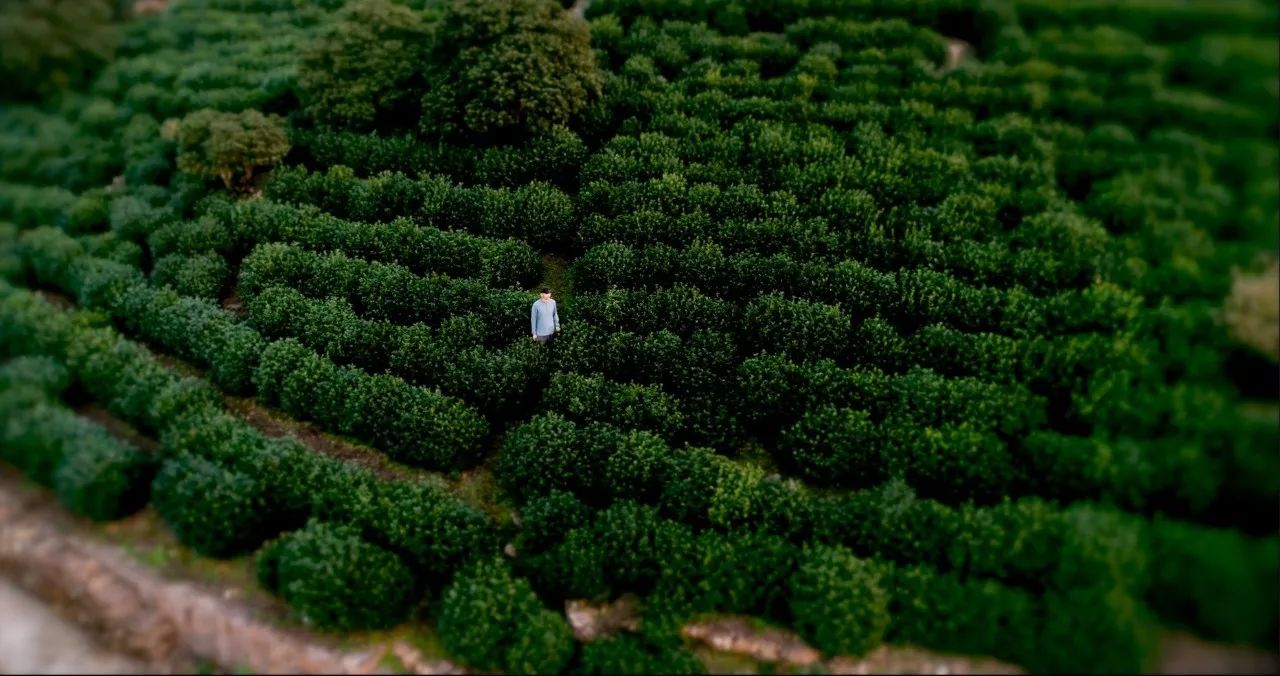 蘇州·天易居，西山鎮(zhèn)獨(dú)居一隅宛如桃源