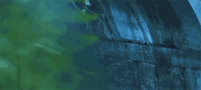 西塘·大舍客棧，自舍己樂施于他人是名大舍