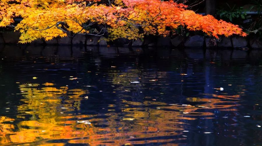 茶隱·喜在山舍，上有茶山下有九溪肆意虛度生活