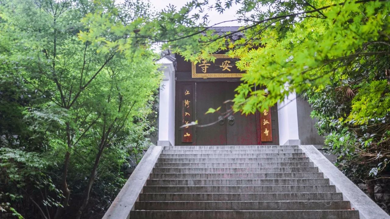 茶隱·喜在山舍，上有茶山下有九溪肆意虛度生活