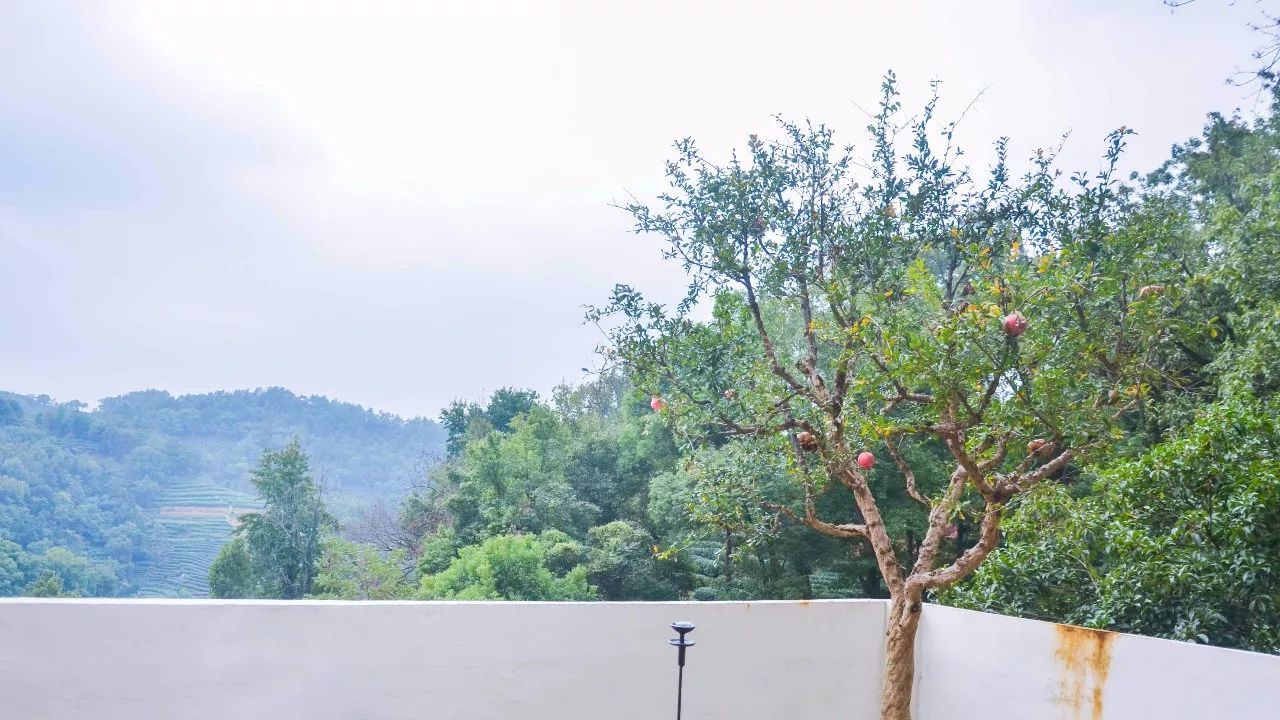 茶隱·喜在山舍，上有茶山下有九溪肆意虛度生活