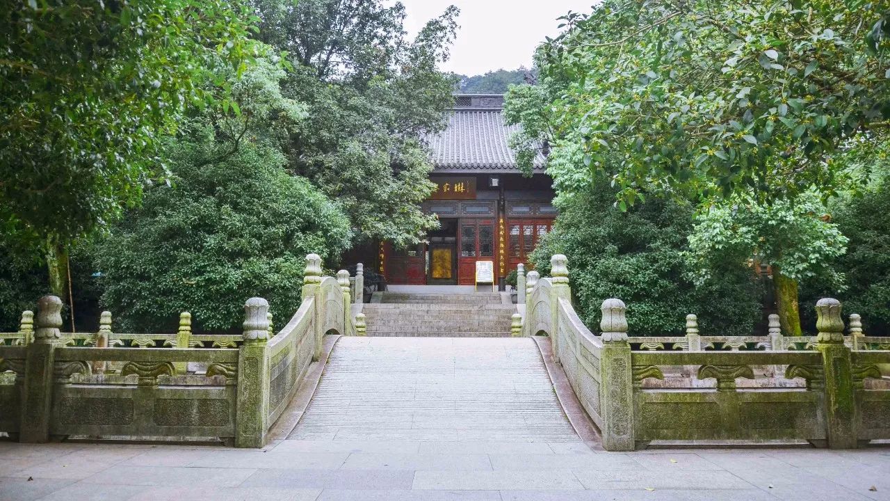 茶隱·喜在山舍，上有茶山下有九溪肆意虛度生活