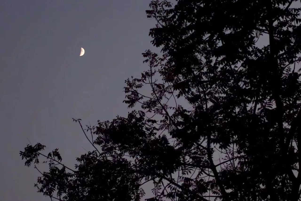 茶隱·喜在山舍，上有茶山下有九溪肆意虛度生活