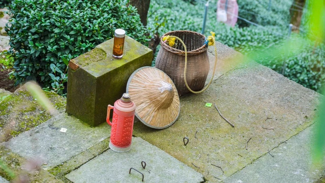 茶隱·喜在山舍，上有茶山下有九溪肆意虛度生活