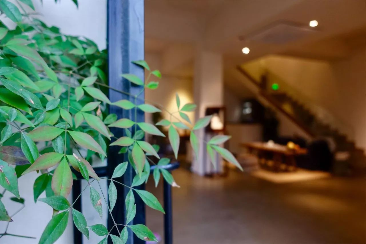 茶隱·喜在山舍，上有茶山下有九溪肆意虛度生活