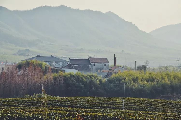 桐廬·云溪上，想要大片的田園被云朵環(huán)繞!