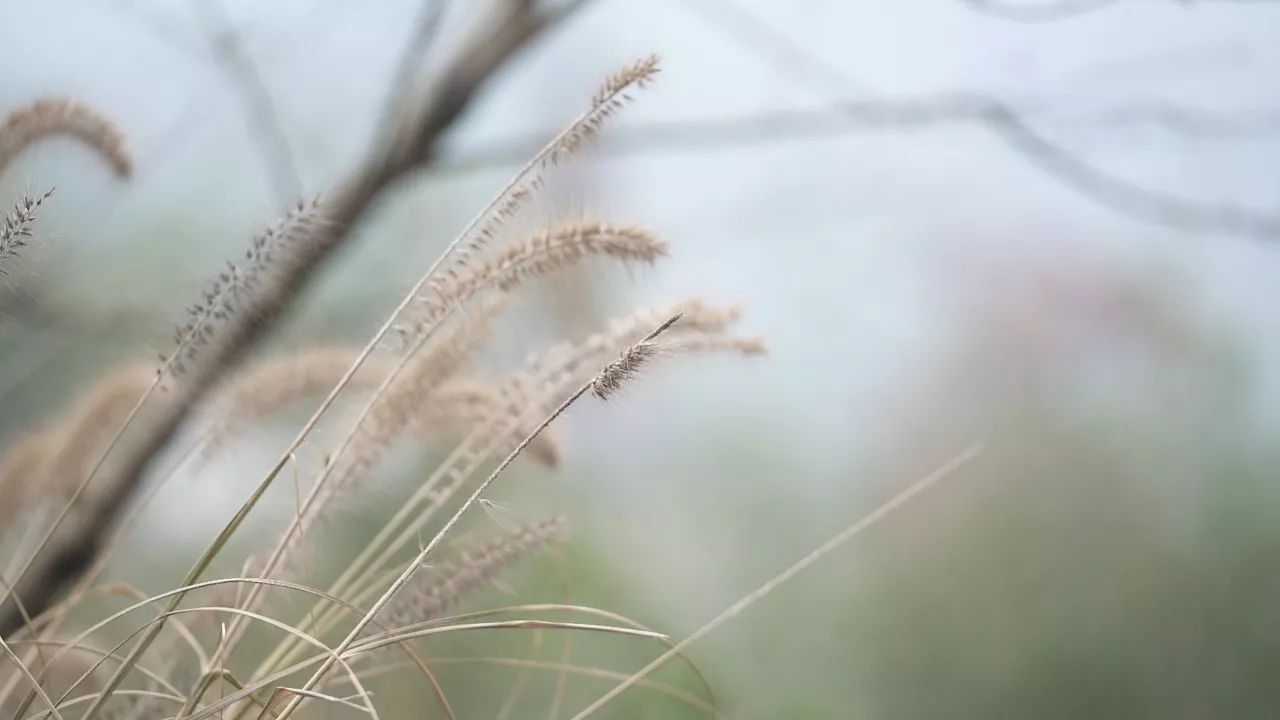 桐廬·云溪上，想要大片的田園被云朵環(huán)繞!