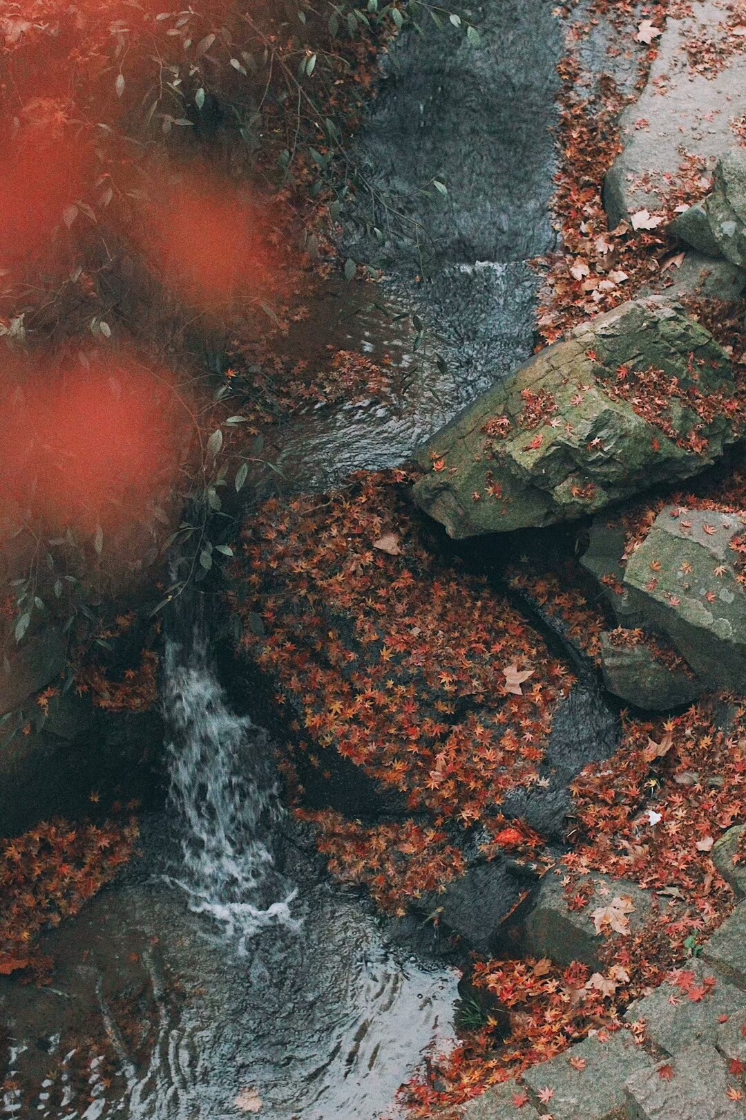 桐廬·云溪上，想要大片的田園被云朵環(huán)繞!